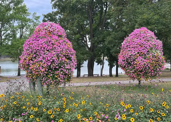 Apartment Do Druskininkai